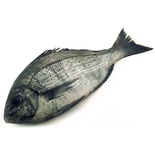 POISSON HOUSSI 1KG