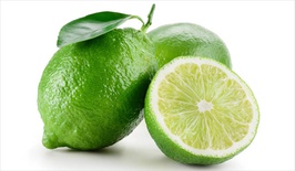 CITRON VERT 1KG