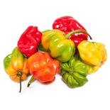 PIMENT 1KG