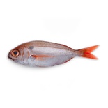 POISSON ROUGE ( ZITRILI ) 1KG